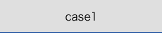 case1