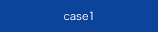 case1